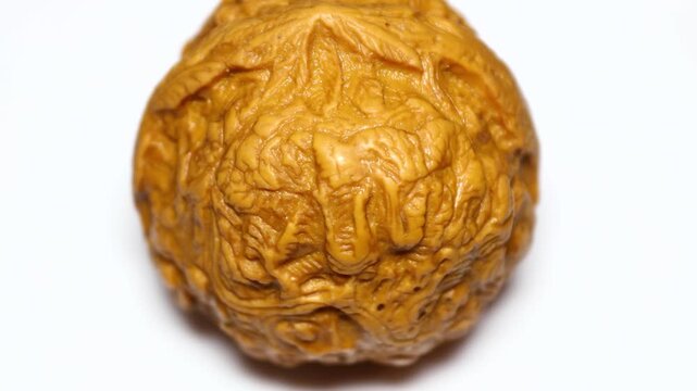 Close up of a walnut on a white surface, great for food or nature photography. Rotating in a circle