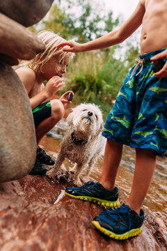 children playing with dog in creek