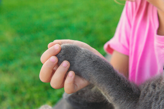 A child loves a cat outdoors. Selective focus.
