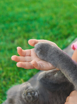 A child loves a cat outdoors. Selective focus.