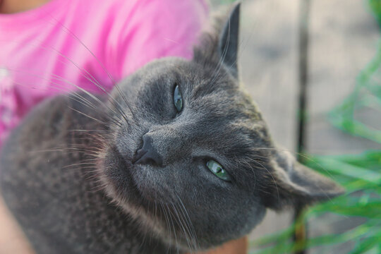 A child loves a cat outdoors. Selective focus.