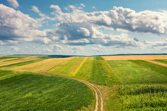 Summer rural landscape with a dirt country road among the fields. View from above