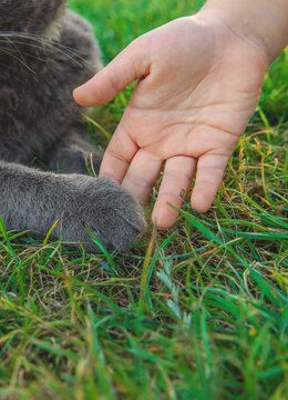 A child loves a cat outdoors. Selective focus.