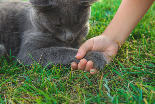 A child loves a cat outdoors. Selective focus.