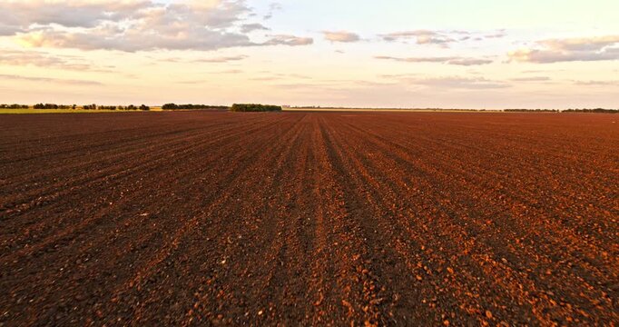 Aerial view of a plowed agricultural field at sunset with golden light