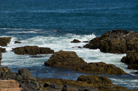 Rocky Coast Of Maine Looking at Atlantic Ocean with waves