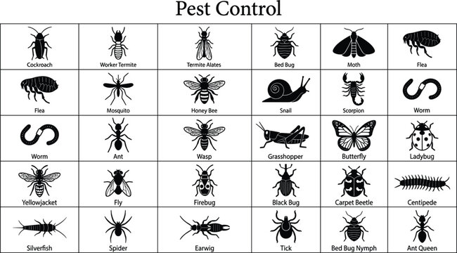 Pest control insect silhouettes icon set featuring cockroach termite flea mosquito spider bed bug vector illustration