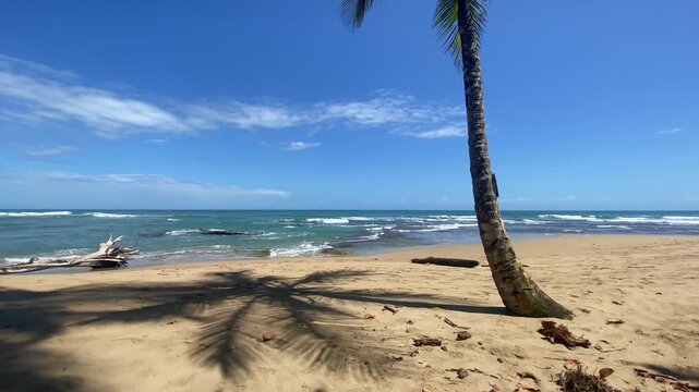 On the beach in Puerto Viejo de Talamanca, Costa Rica