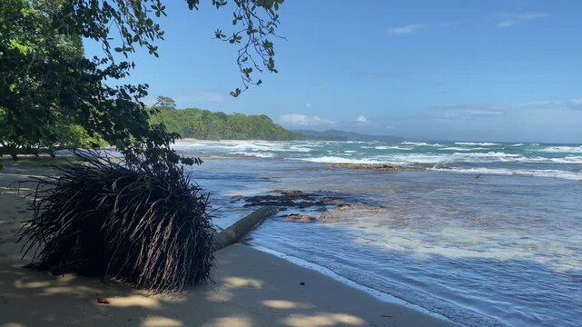 On the beach in Puerto Viejo de Talamanca, Costa Rica