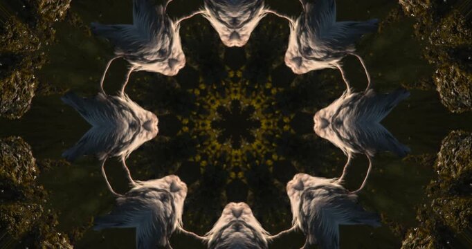 Kaleidoscope natural organic pulsating star pattern