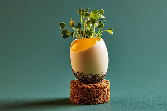 Fresh microgreens sprout from a soft-boiled eggshell resting on dark bread against a green background. Creative food photography concept for healthy eating.