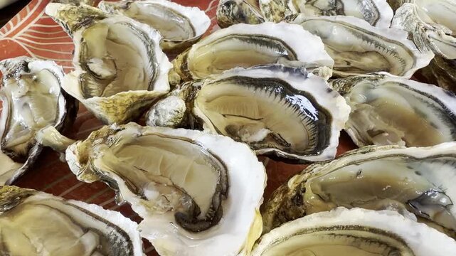 Freshly opened diploid oysters from Cap Ferret arranged on a serving platter, showcasing fresh flesh and local seafood from Arcachon Bay.