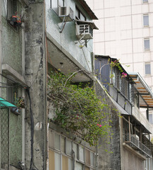 Fototapeta premium Overgrown plants spilling over old building balcony in Taipei, Taiwan