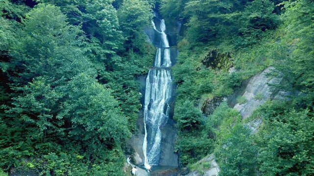 The powerful Kevin Falls descends from a rocky cliff, surrounded by bright green trees and dense vegetation of a remote mountain forest, creating a calm and wild natural landscape