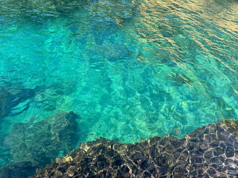 Mediterranean blue sea with underwater algae
