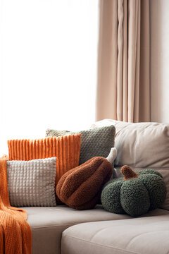 Cozy Autumn Themed Decorative Pillows Arranged on Sofa with Warm Natural Light