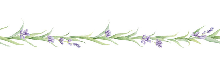 Fototapeta premium Lavender blooms branch with flowers and leaves hand drawn isolated watercolor seamless border. Botanical horizontal background of purple violet flower, leaf. Summer floral print for cosmetic, textile