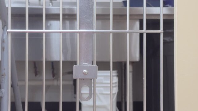 Excited puppy at store in cage waiting for food 4k
