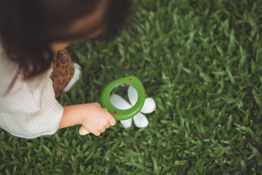 Child using magnifying glass to examine flower on grass, nature exploration and early childhood learning
