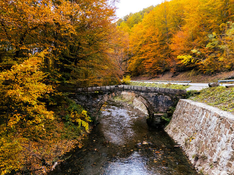 Aerial view of an old stone arch bridge over a clear mountain river surrounded by vibrant autumn foliage