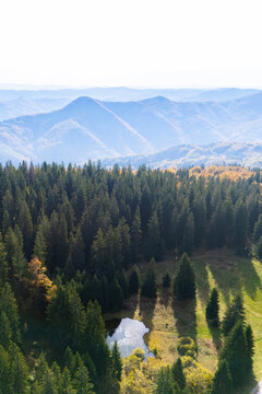 Aerial view of a small mountain forest pond surrounded by evergreen spruces and a bright golden autumn tree