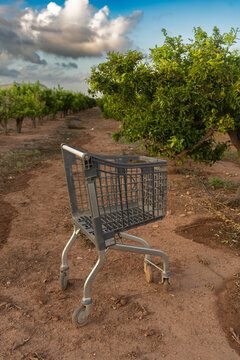 carro de compra en mitad del campo