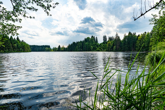 Ruhige Wasserfl&auml;che eines Waldsees mit Nadelwald und Bergen am Horizont.