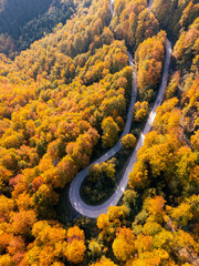 Fototapeta premium Drone perspective of a winding serpentine forest road during peak autumn foliage season