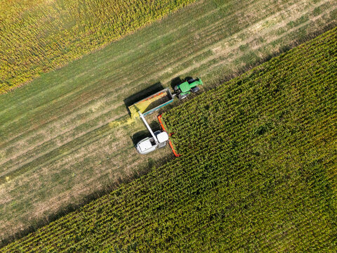 Aerial view of a forage harvester collecting corn and loading it into a tractor trailer