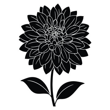Detailed dahlia flower with stem and leaves is presented as a black silhouette