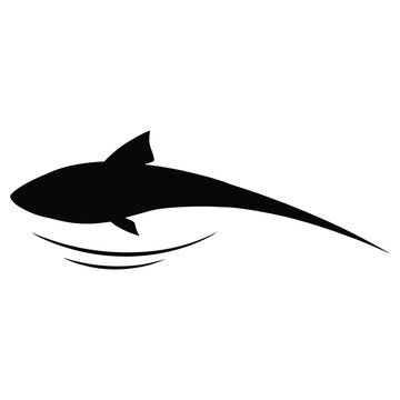 A sleek shark swims above waterlines depicted as a dark silhouette