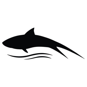 A sleek shark shape emerges above the water a black silhouette