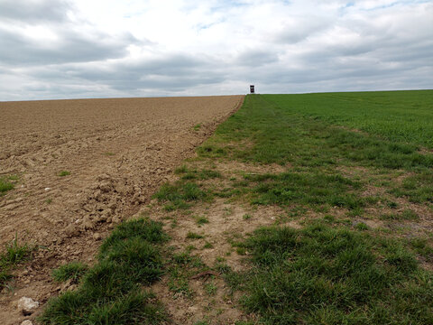 Field boundary between plowed farmland and green crops in the Hunsr&uuml;ck, Germany
