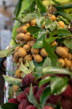 High-angle close-up of brown longan fruits on the stem with green foliage resting above fresh lychees at an open-air produce market.