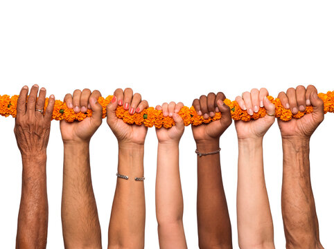 Diverse group of hands holding a vibrant orange marigold flower garland together symbolizing unity and celebration PNG Isolated on transparent background