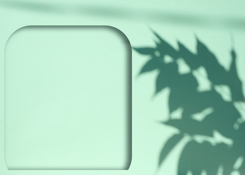 Stage for product display and advertising with shadow from branch with leaves on mint background with square niche