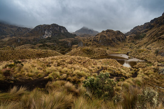 Cajas National Park, Andean highlands paramo, South America, Ecuador, Azuay province, Cuenca