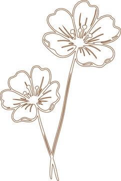 Simple line art drawing of two pretty flowers isolated on a white background