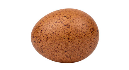 Fototapeta premium A single speckled brown turkey egg isolated on a white background