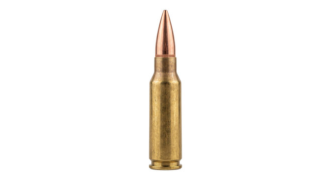 Single rifle cartridge with brass casing and copper bullet on white background