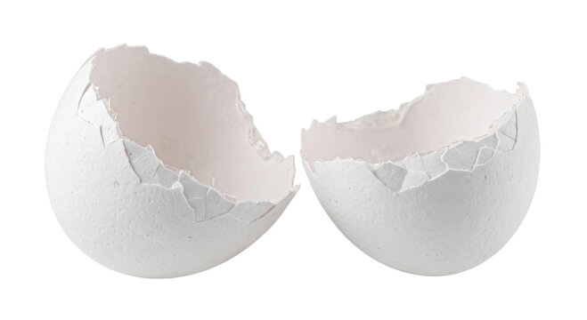 Broken white eggshell halves isolated on a clean white background