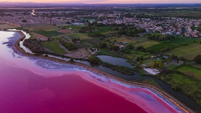 Aerial drone view of pink lakes salt marshes, salt mining medieval town of Aigues-Morte, Camargue, France. High quality 4k footage