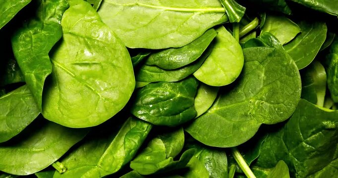 green spinach 