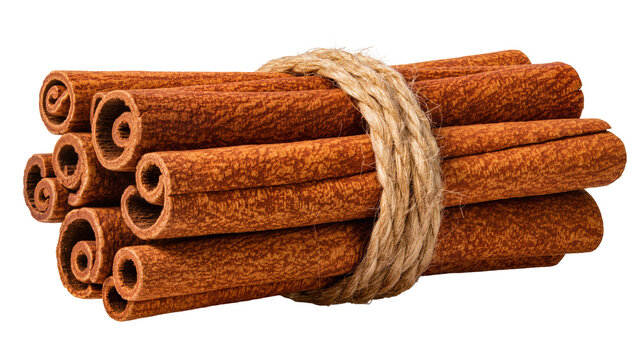 Bundle of cinnamon sticks tied with rough jute twine, isolated on transparent background