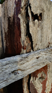 Decayed wood deep peeling brown layers rotten background