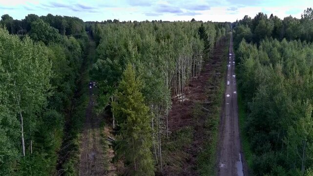 Drone starts low above muddy forest tracks and slowly ascends, revealing two long parallel routes cutting through a vast green woodland landscape in rural Estonia.