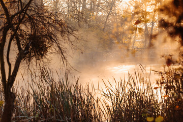 Obraz premium Misty autumn morning in a park with pathways, small bridges, and ponds in the first rays of the golden sun, Pszczyna, Poland