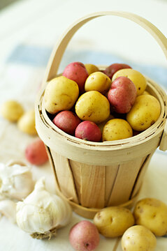 Small yellow (Yukon Gold) and red potatoes in a pretty basket, garlic in the foreground and blurred kitchen setting in the background 