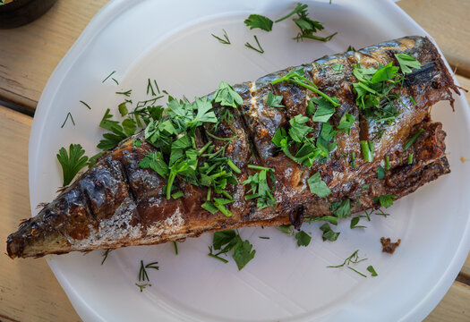 Grilled whole mackerel fish garnished with fresh herbs on plate