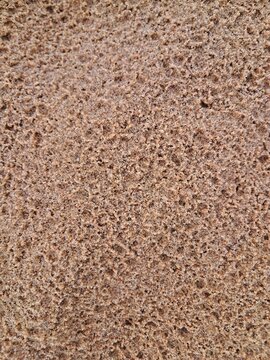 Detailed macro view of coarse golden wet sand texture covered with tiny crater patterns created by raindrops on an Estonian beach.